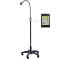 Beauty center and hospital medical examination light